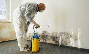 Best Asbestos and Lead Testing During Mold Inspection  in Grantsburg, WI