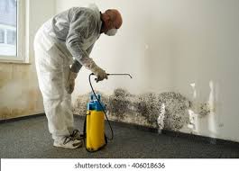 Why You Should Choose Our Mold Remediation Services in Grantsburg, WI